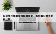 公众号在哪里看粉丝数量啊（如何看公众号的粉丝数）
