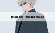 推特看不见（推特看不见图片）