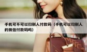 手机可不可以扫别人付款码（手机可以扫别人的微信付款码吗）