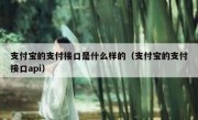 支付宝的支付接口是什么样的（支付宝的支付接口api）