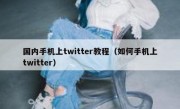国内手机上twitter教程（如何手机上twitter）