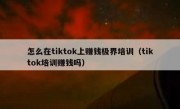 怎么在tiktok上赚钱极界培训（tiktok培训赚钱吗）