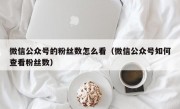 微信公众号的粉丝数怎么看（微信公众号如何查看粉丝数）