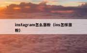 instagram怎么涨粉（ins怎样涨粉）