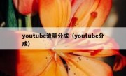 youtube流量分成（youtube分成）