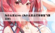 为什么禁止ins（为什么禁止打安徽智飞第三针）