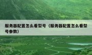服务器配置怎么看型号（服务器配置怎么看型号参数）