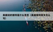 美国说的推特是什么意思（美国推特英文怎么写）