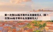 第一次发ins帖子用什么文案吸引人（第一次发ins帖子用什么文案吸引人）