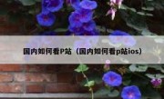 国内如何看P站（国内如何看p站ios）