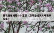 亚马逊送测是什么意思（亚马逊送测从哪里找买家）