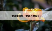 查询车限号（查询汽车限号）