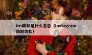 ins限制是什么意思（instagram限制功能）