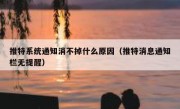 推特系统通知消不掉什么原因（推特消息通知栏无提醒）