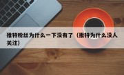 推特粉丝为什么一下没有了（推特为什么没人关注）