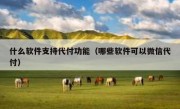 什么软件支持代付功能（哪些软件可以微信代付）
