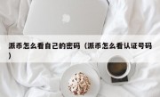 派币怎么看自己的密码（派币怎么看认证号码）