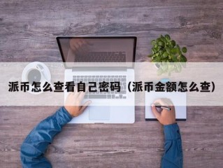 派币怎么查看自己密码（派币金额怎么查）