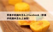 苹果手机国内怎么上facebook（苹果手机国内怎么上油管）