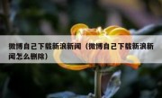微博自己下载新浪新闻（微博自己下载新浪新闻怎么删除）