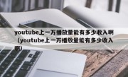 youtube上一万播放量能有多少收入啊（youtube上一万播放量能有多少收入啊）