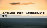 小红书抖音哪个好赚钱（抖音赚钱还是小红书赚钱）