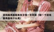 游戏服务器租用多少钱一年划算（租一个游戏服务器有什么用）
