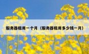 服务器租用一个月（服务器租用多少钱一月）