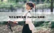 为什么推特没网（twitter没网络）