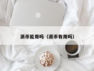派币能用吗（派币有用吗）
