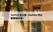 twitter怎么看（twitter怎么看限制内容）