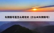 车牌限号是怎么规定的（什么叫车牌限号）