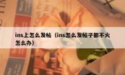 ins上怎么发帖（ins怎么发帖子都不火怎么办）