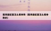 服务器配置怎么看参数（服务器配置怎么看参数的）