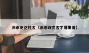派币更正姓名（派币改完名字哪里看）