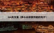 ins风文案（很小众却很惊艳的句子）