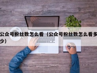 公众号粉丝数怎么看（公众号粉丝数怎么看多少）