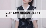 ins说什么意思（网友说的ins是什么意思）