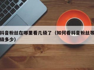 抖音粉丝在哪里看几级了（如何看抖音粉丝等级多少）