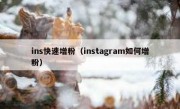ins快速增粉（instagram如何增粉）
