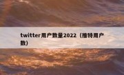 twitter用户数量2022（推特用户数）