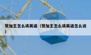 赞加王怎么读英语（赞加王怎么读英语怎么说）