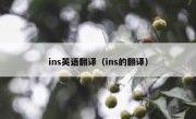 ins英语翻译（ins的翻译）