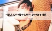 付款方式cad是什么软件（cad凭单付款）
