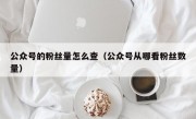 公众号的粉丝量怎么查（公众号从哪看粉丝数量）