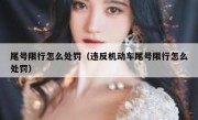 尾号限行怎么处罚（违反机动车尾号限行怎么处罚）