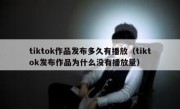 tiktok作品发布多久有播放（tiktok发布作品为什么没有播放量）