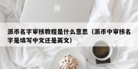 派币名字审核教程是什么意思（派币中审核名字是填写中文还是英文）