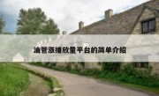 油管涨播放量平台的简单介绍