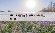 tiktok热门内容（tiktok如何上热门）